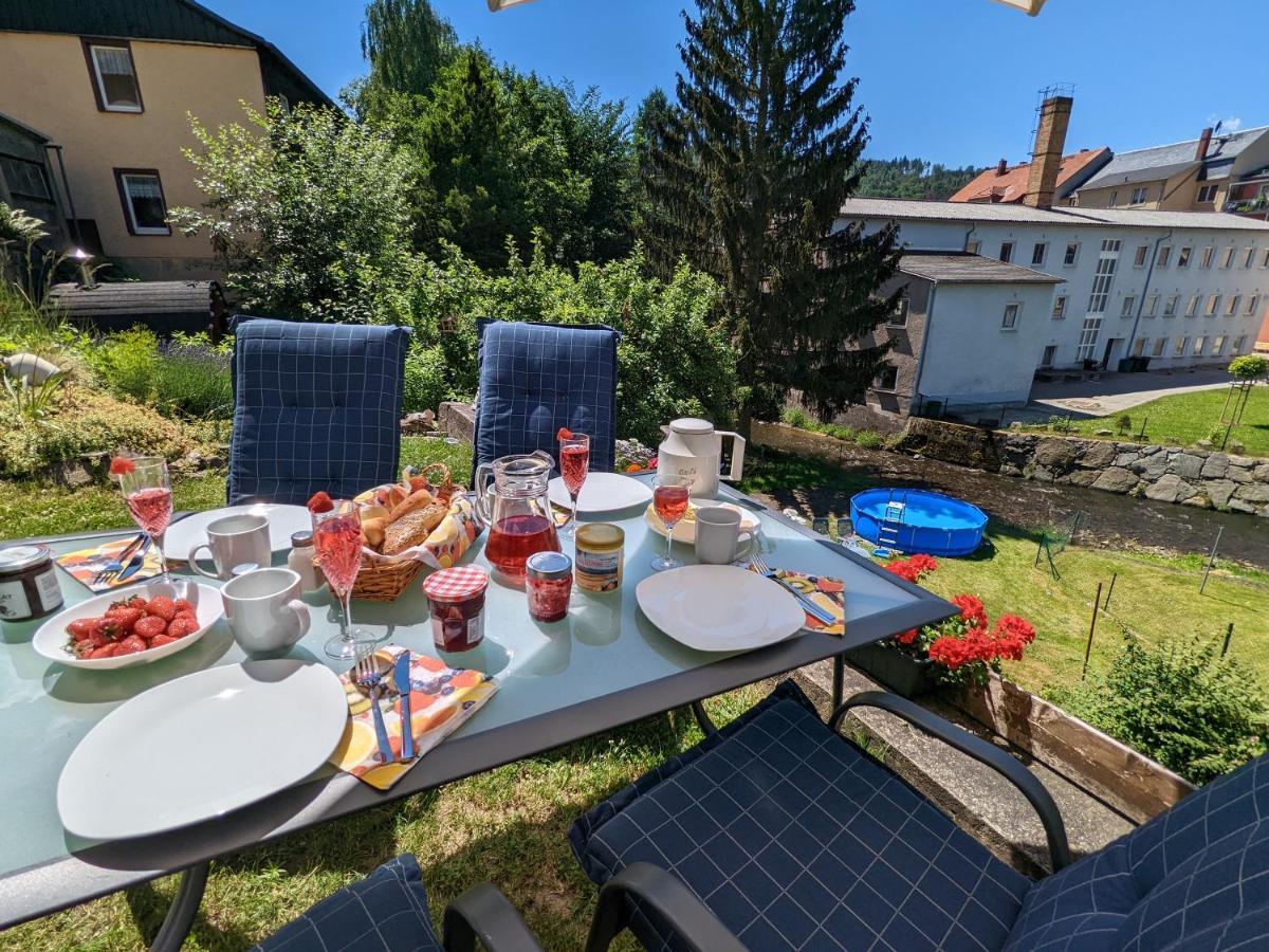 Lichtdurchflutete Helle Wohnung Mit Garten Sauna & Pool - Hw3 Sebnitz Eksteriør bilde
