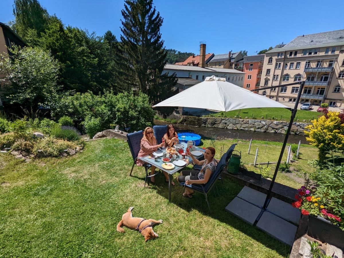 Lichtdurchflutete Helle Wohnung Mit Garten Sauna & Pool - Hw3 Sebnitz Eksteriør bilde